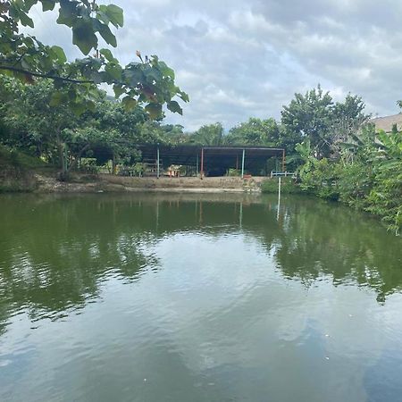 Cabanas Ecoturisticas Y Club Gaira Tayrona Villa Santa Marta  Eksteriør billede