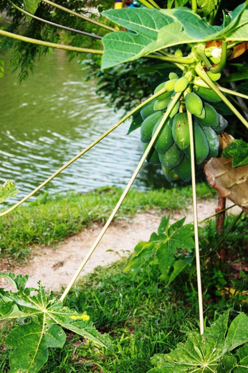 Cabanas Ecoturisticas Y Club Gaira Tayrona Villa Santa Marta  Eksteriør billede