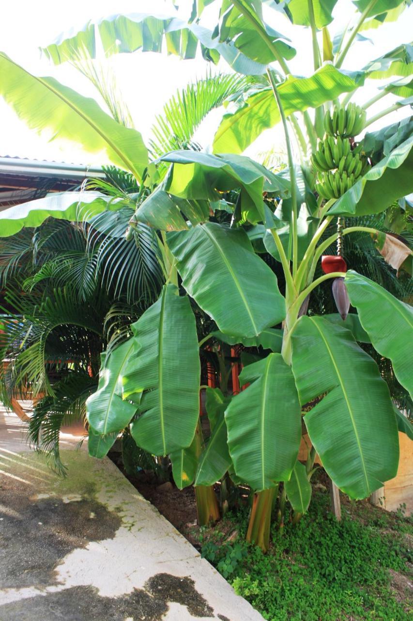 Cabanas Ecoturisticas Y Club Gaira Tayrona Villa Santa Marta  Eksteriør billede