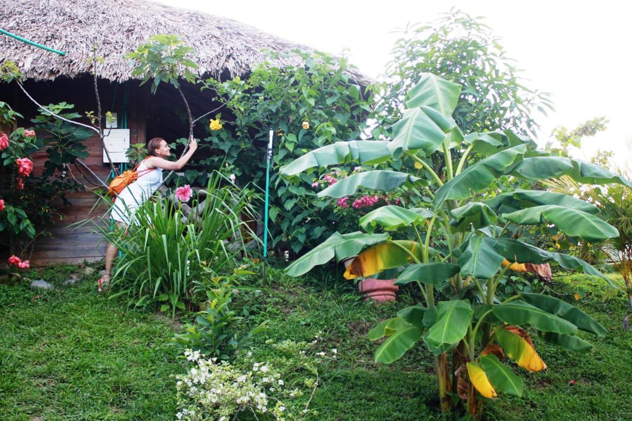 Cabanas Ecoturisticas Y Club Gaira Tayrona Villa Santa Marta  Eksteriør billede